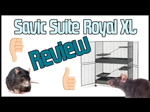Wie ist der Savic Suite Royal XL? I Review