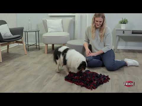 TRIXIE Heimtierbedarf - Sniffing fun for dogs and cats with the sniffer rug