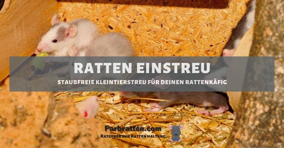 Ratten Einstreu - FB 2