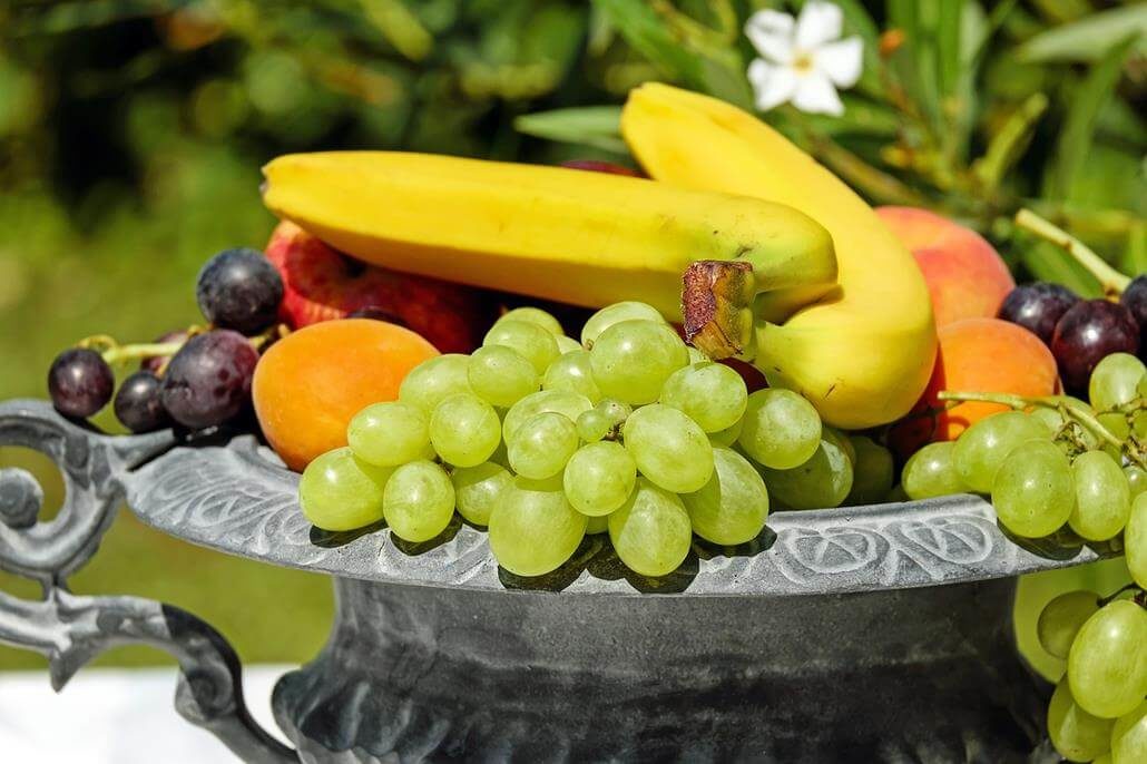 Vitamine für Ratten Vitamine für Ratten
