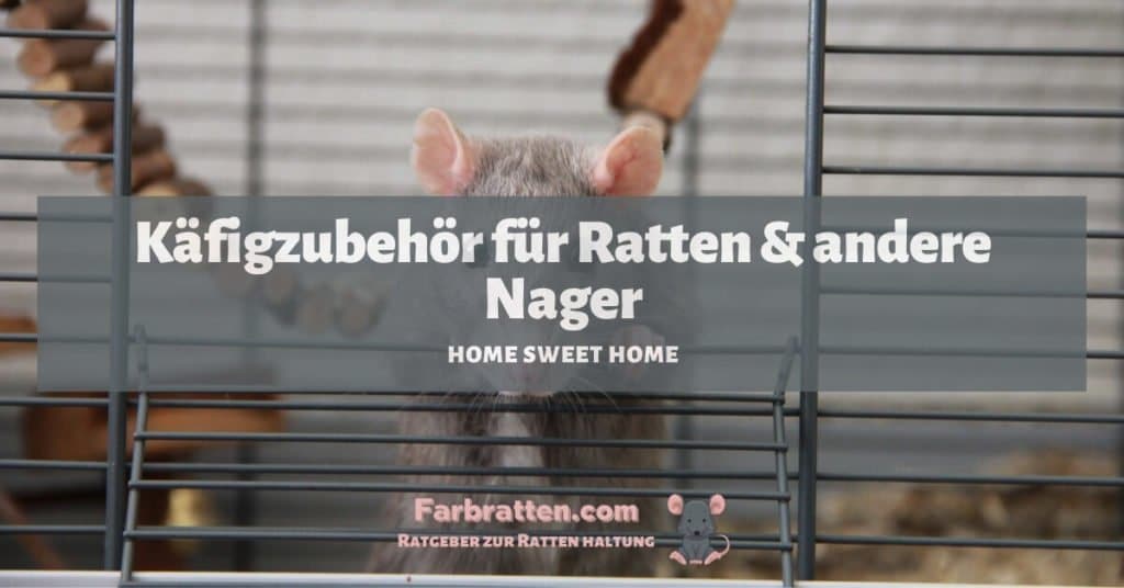 Käfigzubehör für Ratten - FB 2