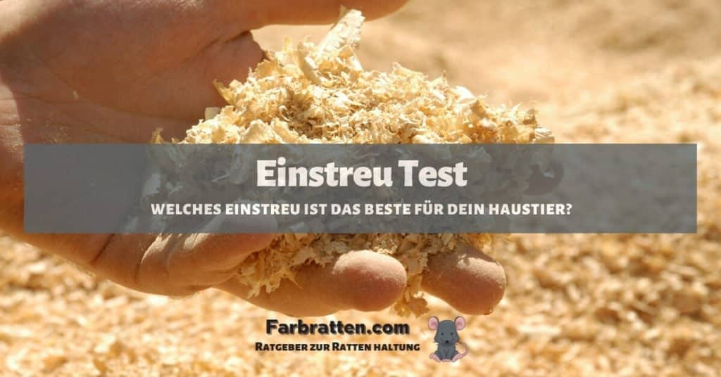Einstreu Test - FB 2
