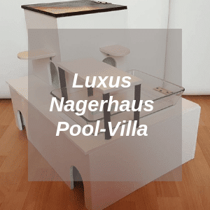 Luxus Nagerhaus Pool Villa