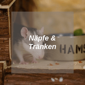 Näpfe und Tränken für Ratten