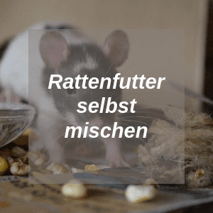 Rattenfutter selbst mischen