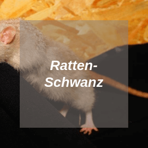 Rattenschwanz