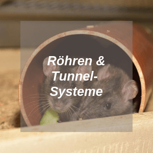 Röhren und Tunnelsysteme für Ratten