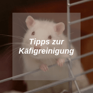 Tipps zur Käfigreinigung