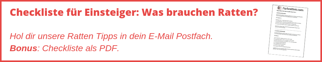 Ratten Checkliste