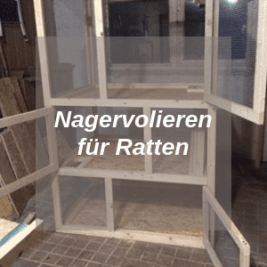 Nagervolieren