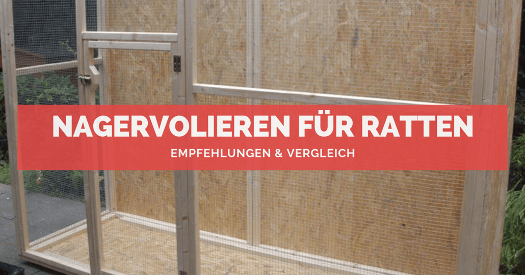 Nagervolieren für Ratten Nagervolieren für Ratten