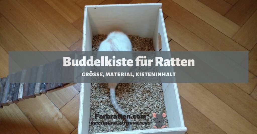 Buddelkiste für Ratten - FB 2