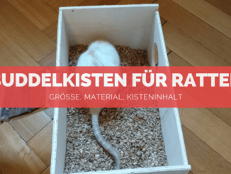 Buddelkisten für Ratten - FB