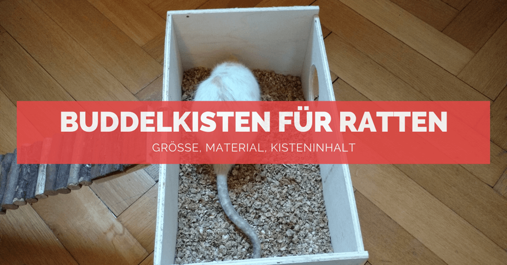 Buddelkisten für Ratten - FB Buddelkisten für Ratten - FB