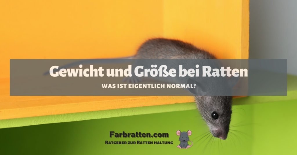 Gewicht bei Ratten - FB 2