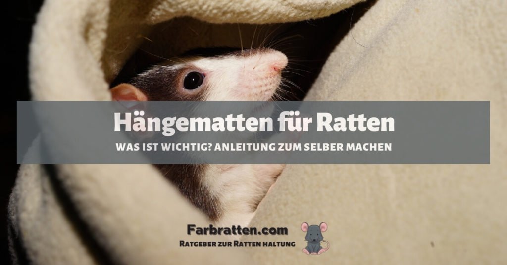 Hängematten für Ratten - FB 2