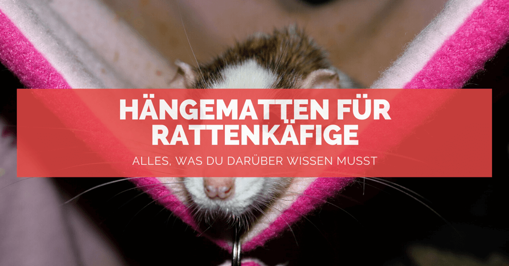 Hängematten Ratten - FB Hängematten Ratten - FB