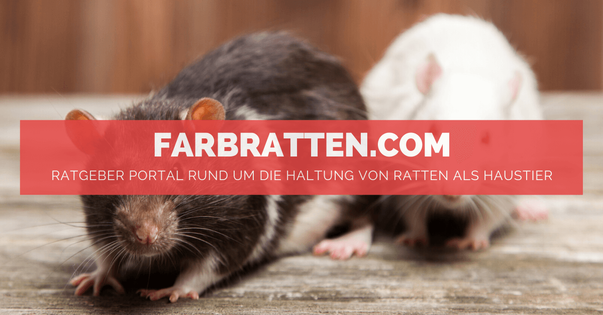(c) Farbratten.com