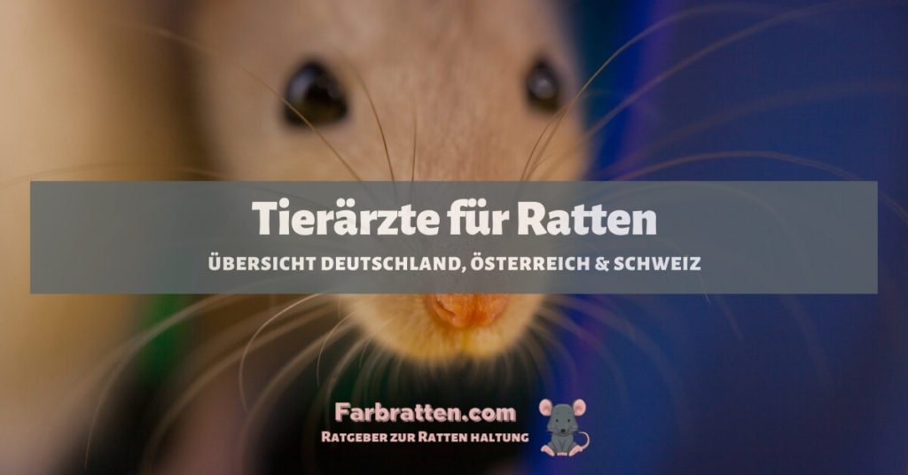 Tierärzte für Ratten - FB 2