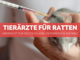 Tierärzte für Ratten - FB
