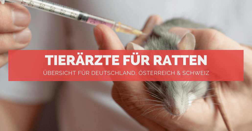 Tierärzte für Ratten - FB Tierärzte für Ratten - FB