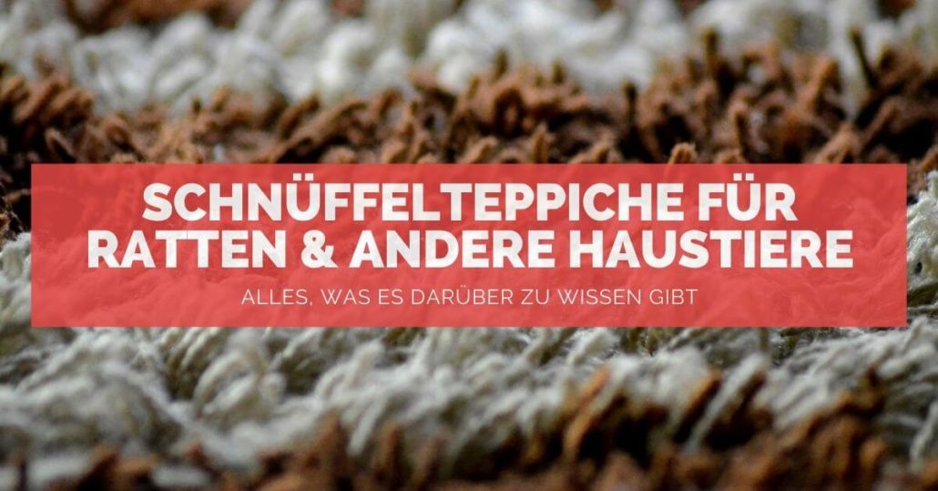 Schnüffelteppiche für Ratten - FB Schnüffelteppiche für Ratten - FB