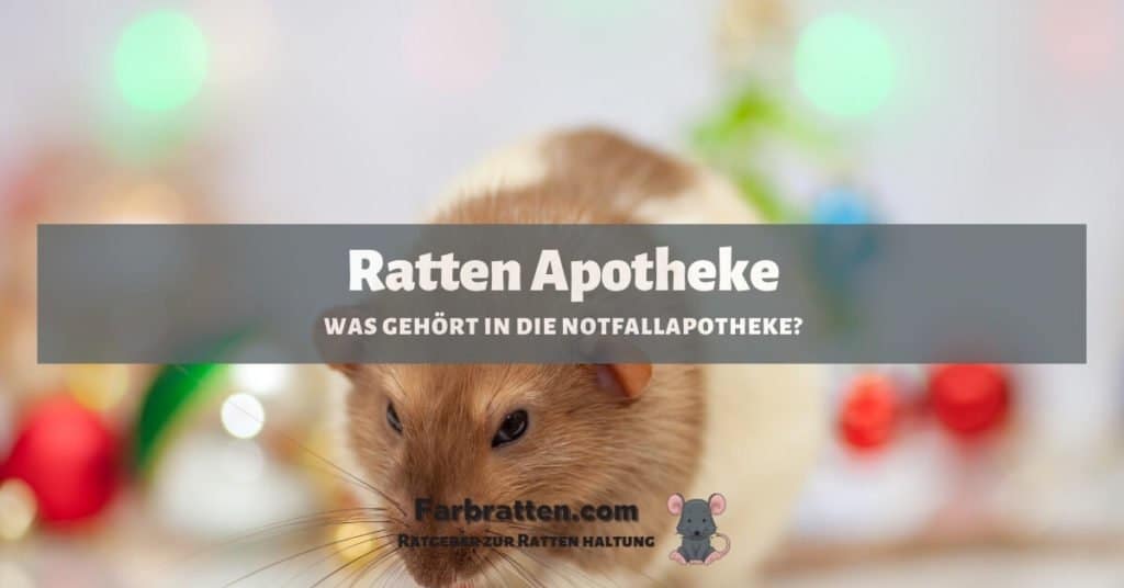 Ratten Apotheke - FB 2
