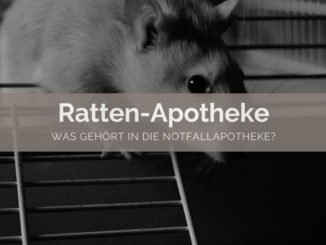 Ratten Apotheke - FB