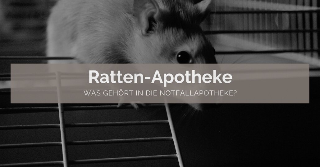 Ratten Apotheke - FB Ratten Apotheke - FB