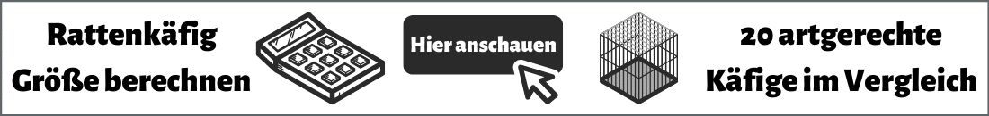 Siam Ratten Siam Ratte ᐅ Alles über Shades & Genetik dieser Zuchtform