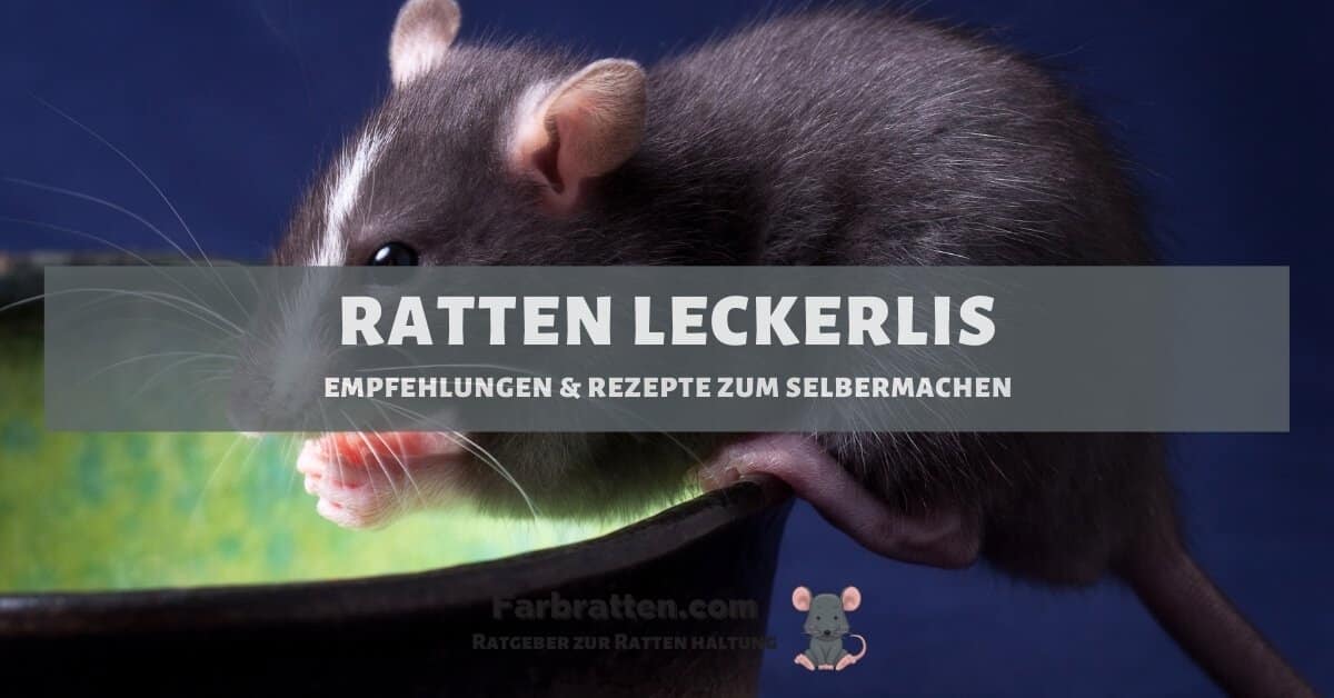 Ratten Leckerli - FB