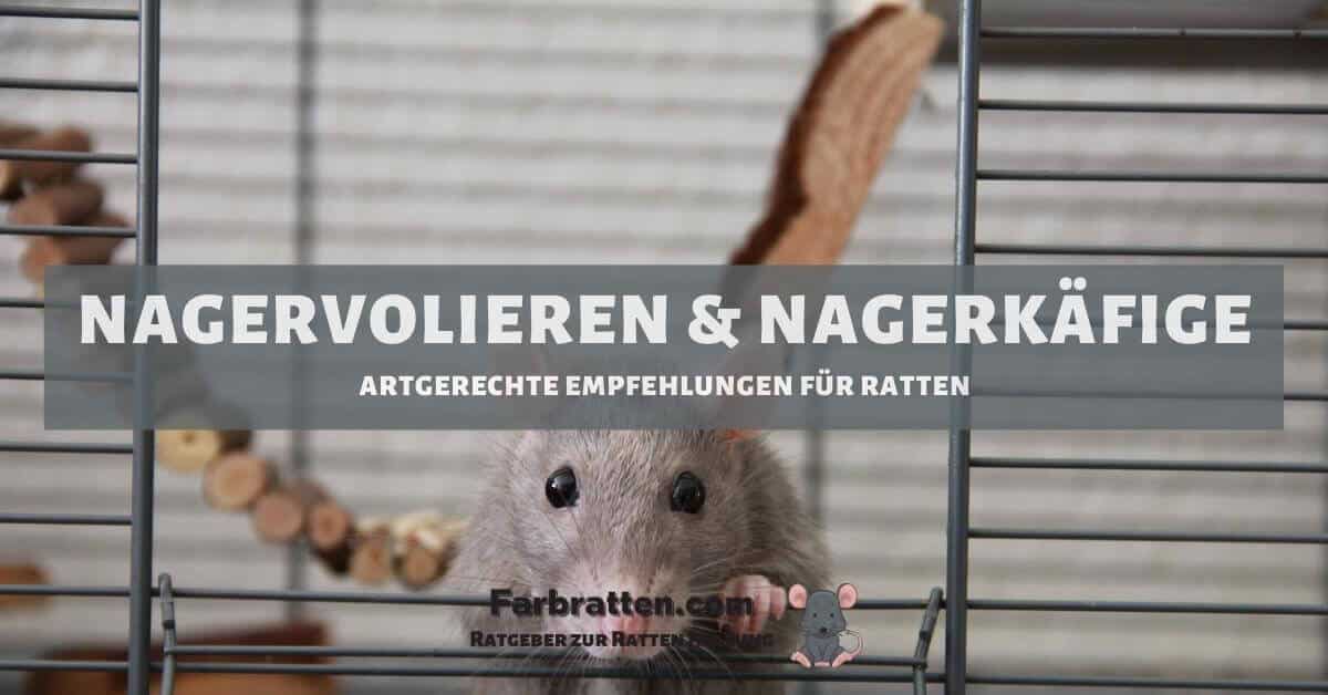 Nagervolieren & Nagerkäfige für Ratten - FB