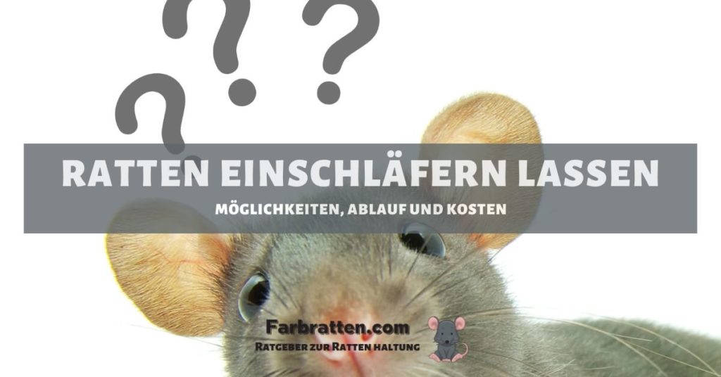Ratten einschläfern - FB