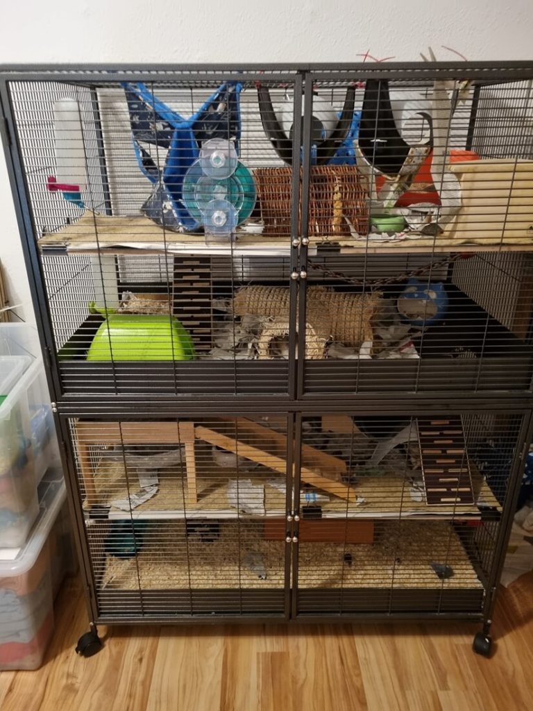 Savic Suite Royal XL Test ᐅ Erfahrungen aus der Community