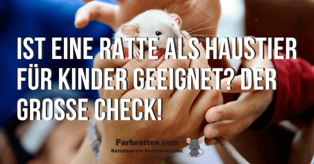 Ratte als Haustier für Kinder - FB