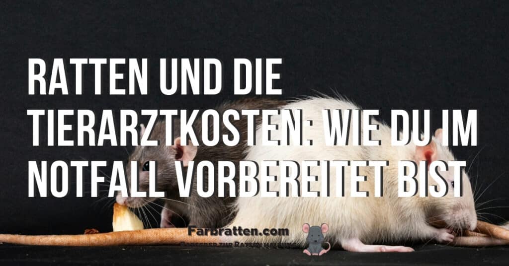 Ratten Tierarzt kosten - FB